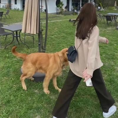 迷糊餐厅第二季